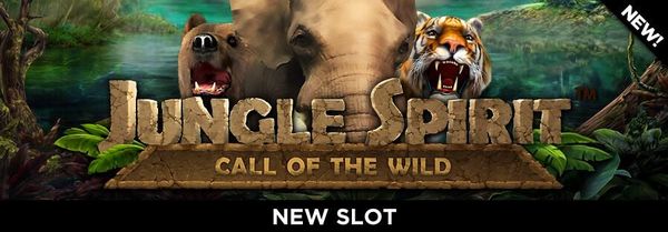 Embrace the Jungle Spirit at Mega888: A Wild Adventure Awaits