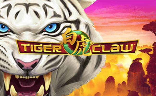 Unleash Your Inner Tiger with 'Tiger Claw' Slot Game on Pussy888